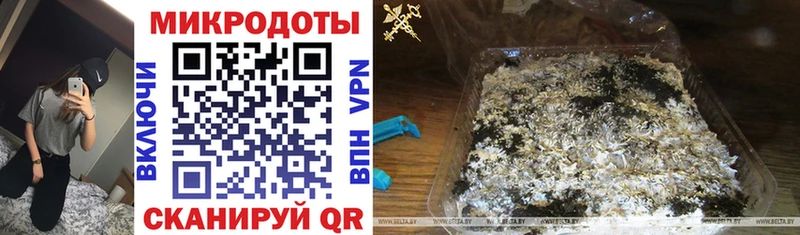 Галлюциногенные грибы мицелий  Купить закладки  Старый Оскол 