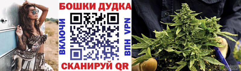 МАРИХУАНА сатива  Купить закладки  Старый Оскол 